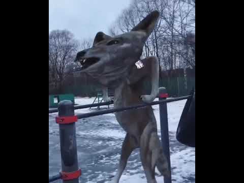 Пока вы громко смеялись он тихо качался в зале