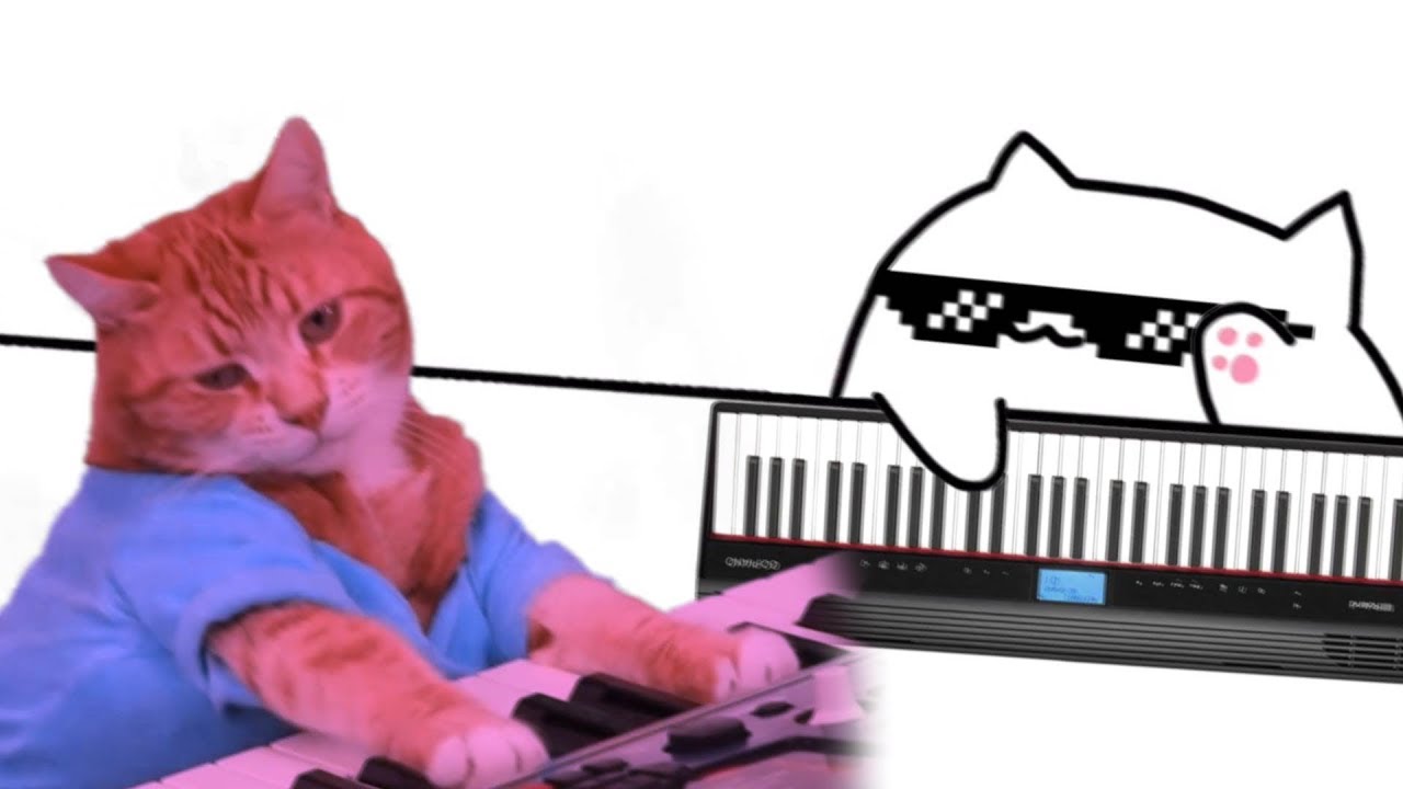 CAT DJ - Coub - The Biggest Video Meme Platform