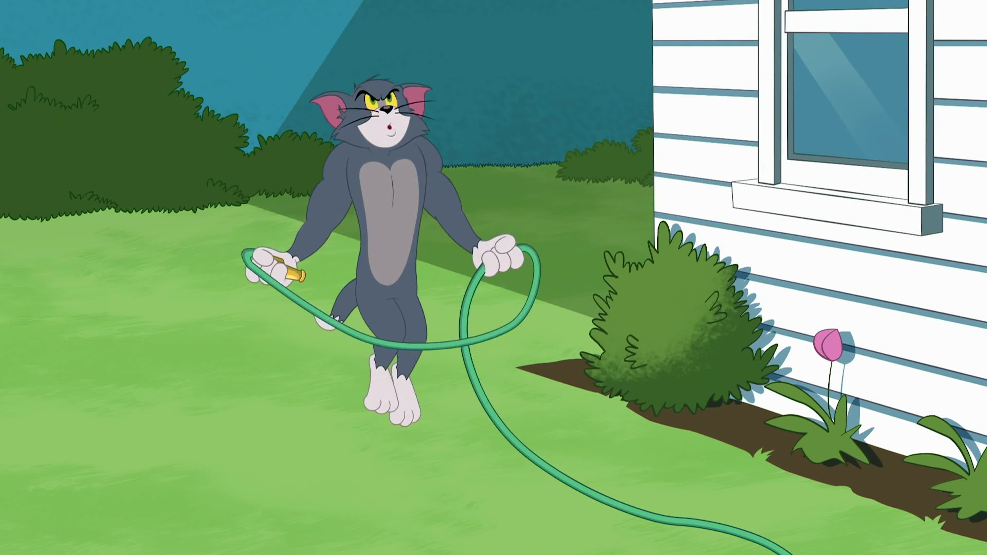 Talking tom игры. Том и джерри шпион квест 2015. Том и джерри. Talking tom 1. Том на уровнях.