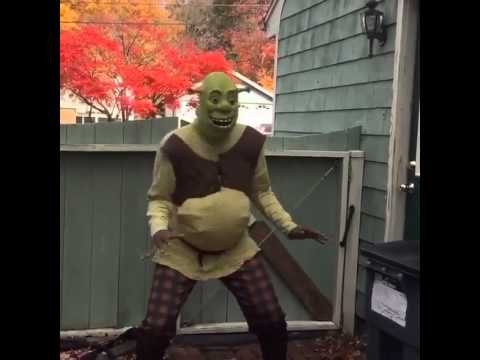 Shrek dançando comédia meme