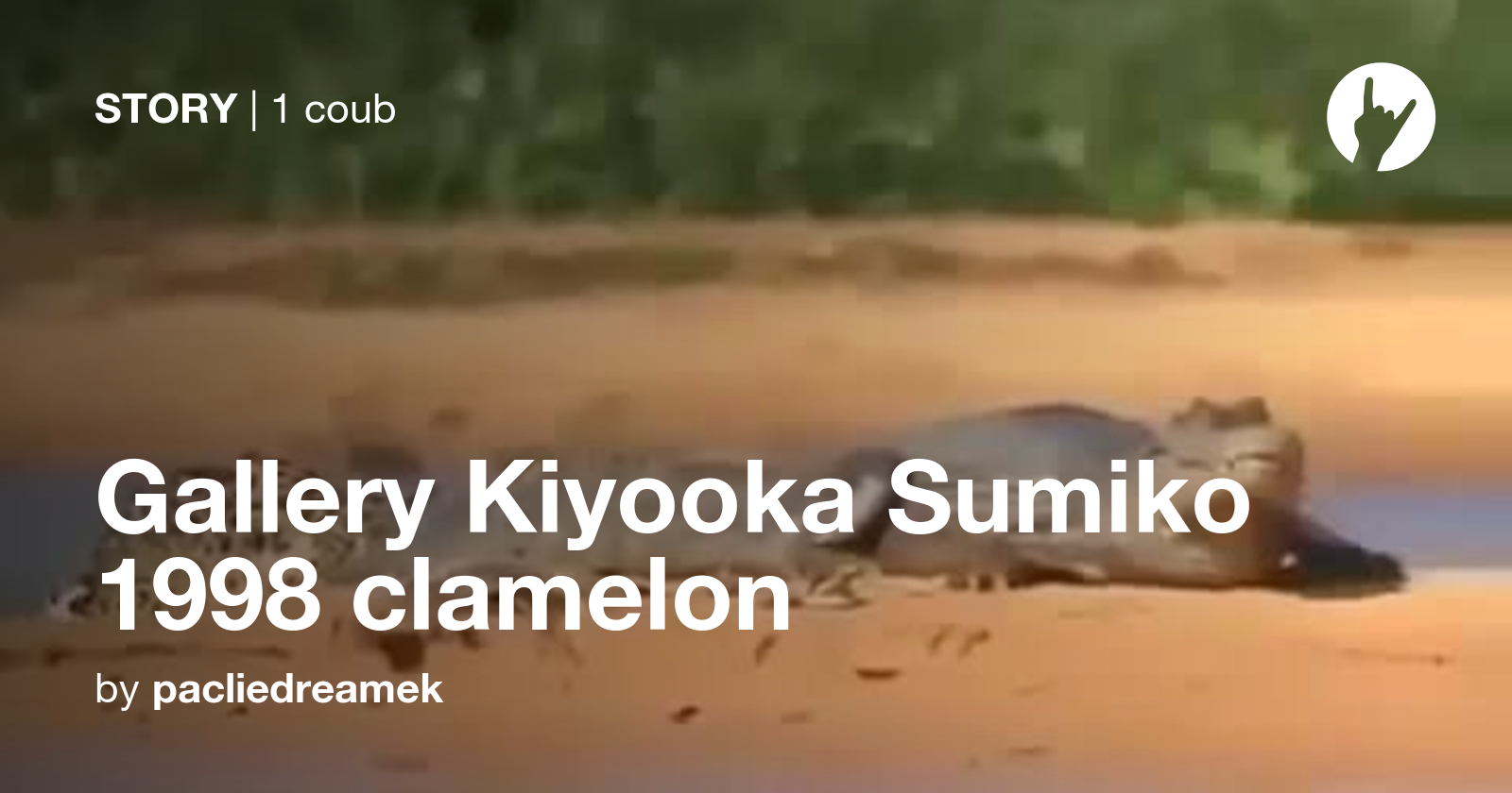 Gallery Kiyooka Sumiko 1998 Clamelon Coub