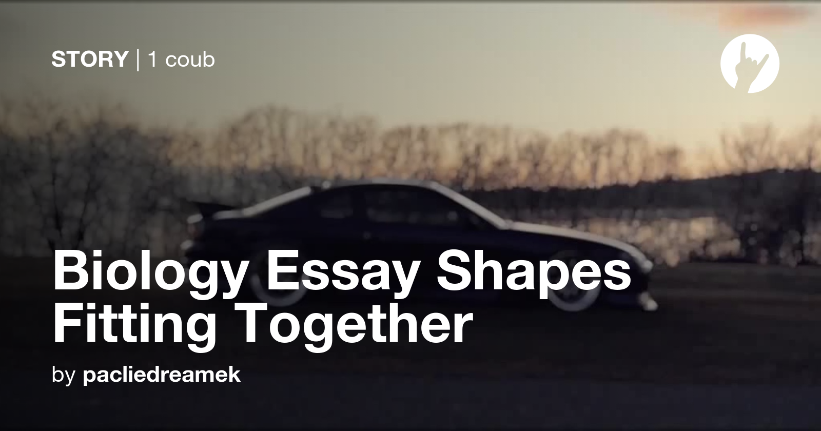 biology essay the importance of shapes fitting together