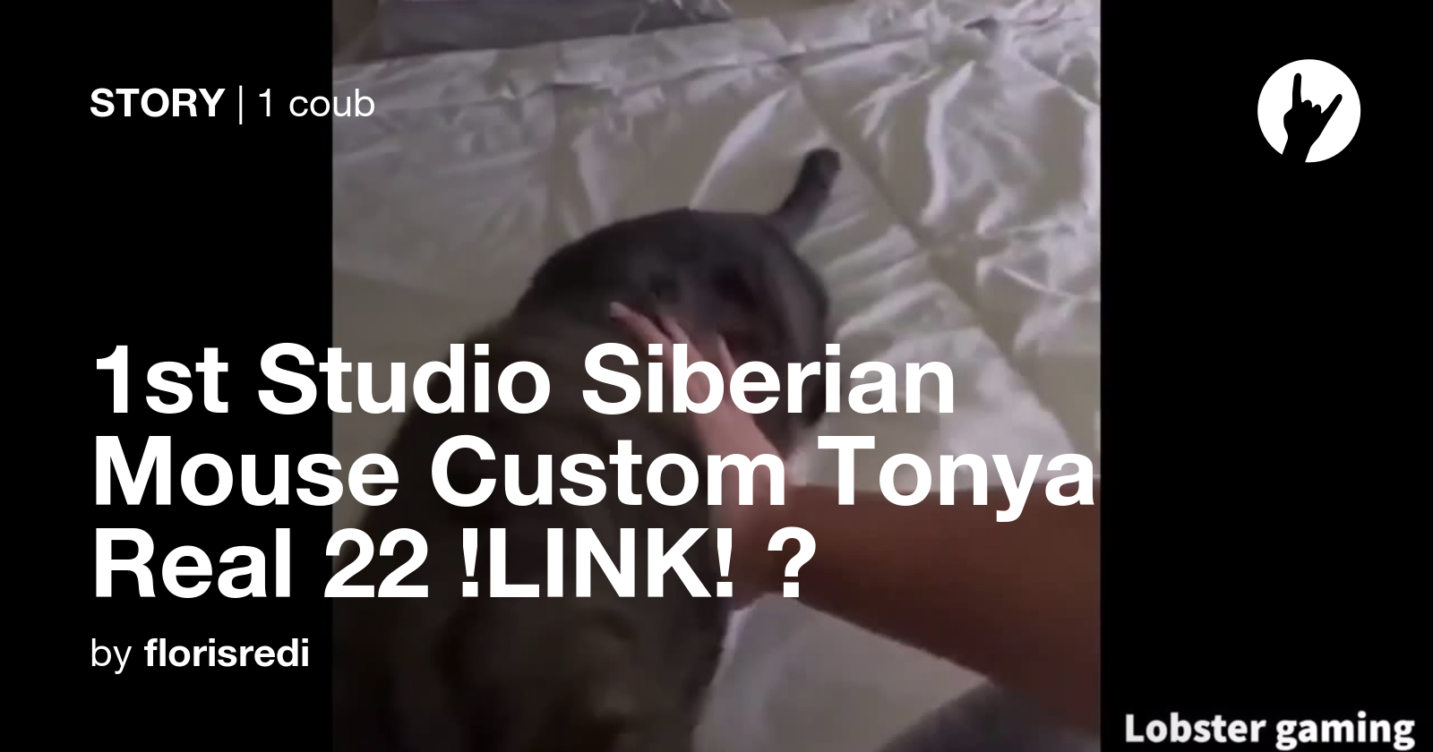 St Studio Siberian Mouse Custom Tonya Real Link Coub